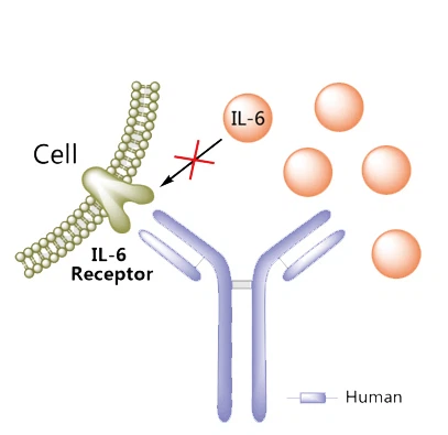 Antibodi monoklonal sarilumab untuk arthritis rheumatoid